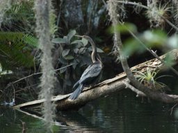 Florida_2007-2008-029
